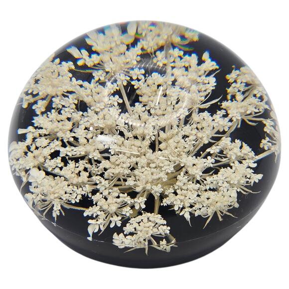 Tarax Infinity Vintage Lucite Acrylic Paperweight Queen Anne’s Lace Canada - Picture 2 of 7